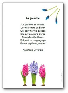 Poésie jacinthe Anastasia Ortenzio