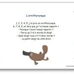L'ornithorynque