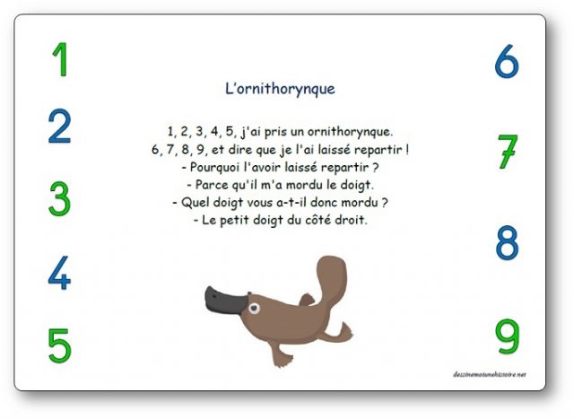 Comptine-L-ornithorynque L'ornithorynque