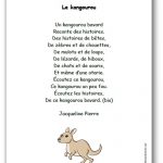 Le kangourou bavard