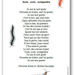 Scolo, scolo, scolopendre