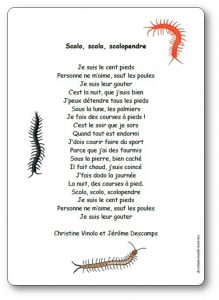 Scolo, scolo, scolopendre