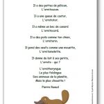 Poésie L'ornithorynque