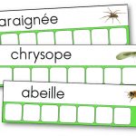 Atelier des mots des petites bêtes du jardin