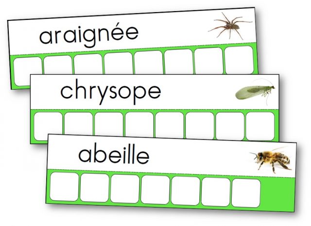 Atelier des mots des petites bêtes du jardin