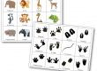 Jeu sur les empreintes d'animaux de la savane