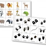Jeu sur les empreintes d'animaux de la savane