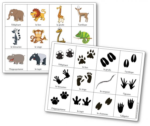 jeu-empreintes-animaux-sauvages-a-imprimer Jeu sur les empreintes d'animaux de la savane