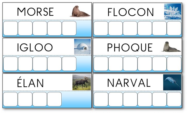 Atelier des mots de la banquise et des animaux polaires