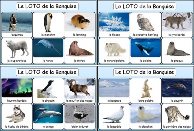 loto-de-la-banquise-et-des-poles Image de la planche de loto de la banquise et des pôles