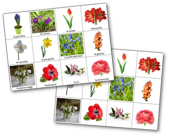 jeu-de-memoire-des-fleurs-a-bulbes