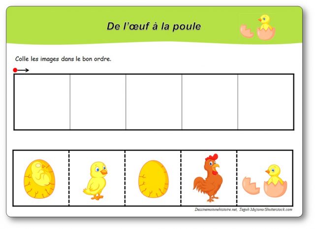 images-sequentielles-oeuf-a-la-poule