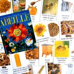 Imagier des abeilles cartes nomenclature
