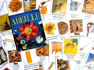 Imagier des abeilles cartes nomenclature