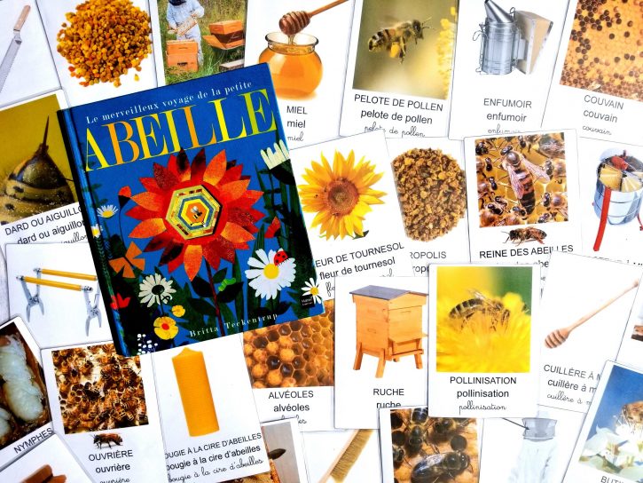Imagier des abeilles cartes nomenclature