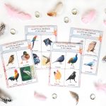 Loto sonore des chants des oiseaux et des rapaces