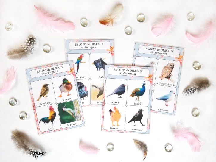 Loto sonore des chants des oiseaux et des rapaces