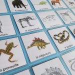 Memory jeu ossements squelettes