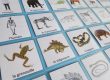 Memory jeu ossements squelettes