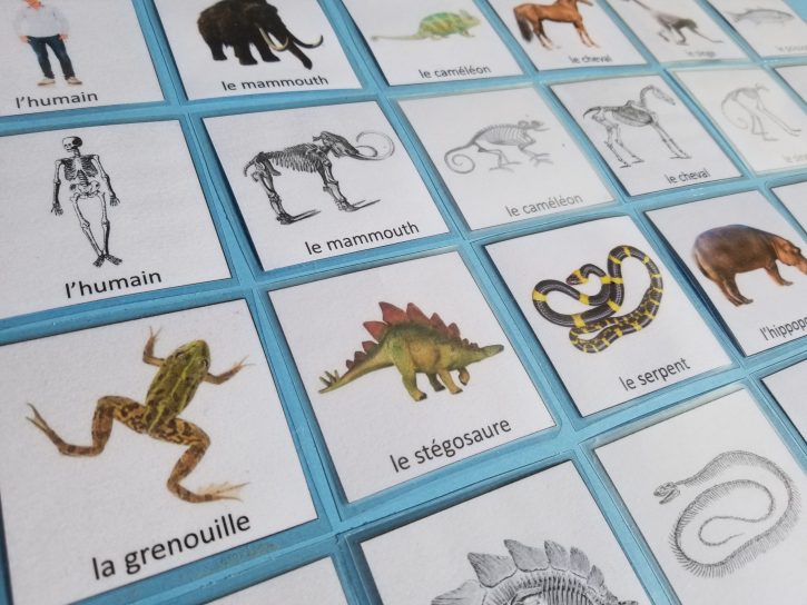 Memory jeu ossements squelettes