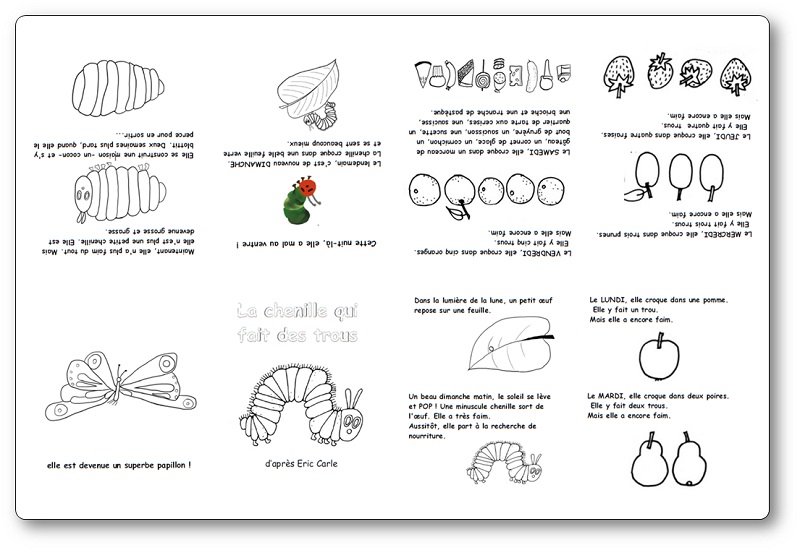 The Very Hungry Caterpillar in French with words worksheet