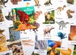 imagier des dinosaures à imprimer maternelle