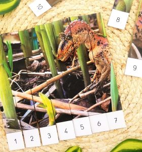 Puzzles à compter numériques des dinosaures