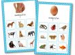 Affichage animaux ovipares et vivipares