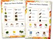 Fiches chasse aux trésors forêt automne nature à imprimer