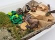 Bac sensoriel animaux de la montagne