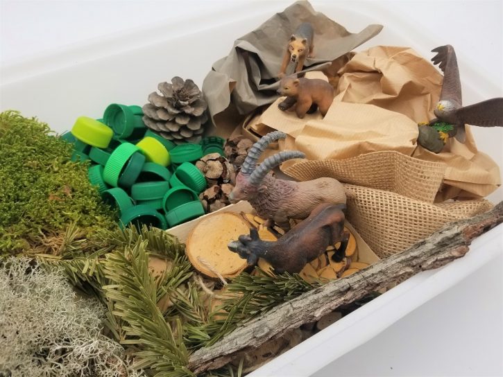 Bac sensoriel animaux de la montagne