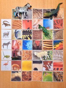 jeu d association a imprimer a partir de 2 ou 3 ans pelage animaux