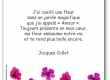 Poésie « J’ai cueilli une fleur dans un jardin magnifique » de Jacques Collot, illustrée, à lire et à partager