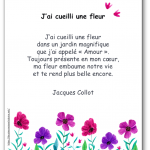 Poésie « J’ai cueilli une fleur dans un jardin magnifique » de Jacques Collot, illustrée, à lire et à partager